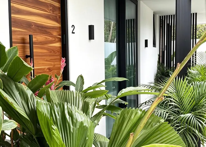 Noam By The Sea * Tamarindo